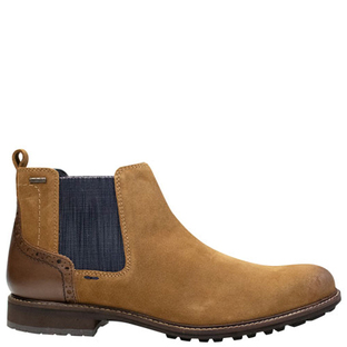 Jasper 50