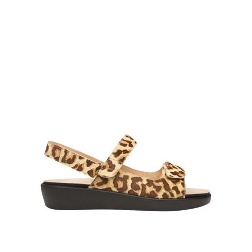 Hearty [Colour: Ocelot] [Size: 42]